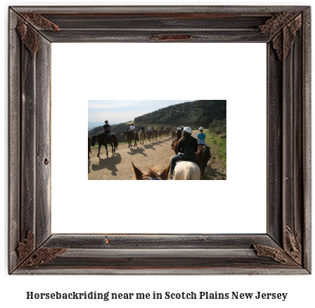 horseback riding near me in Scotch Plains, New Jersey